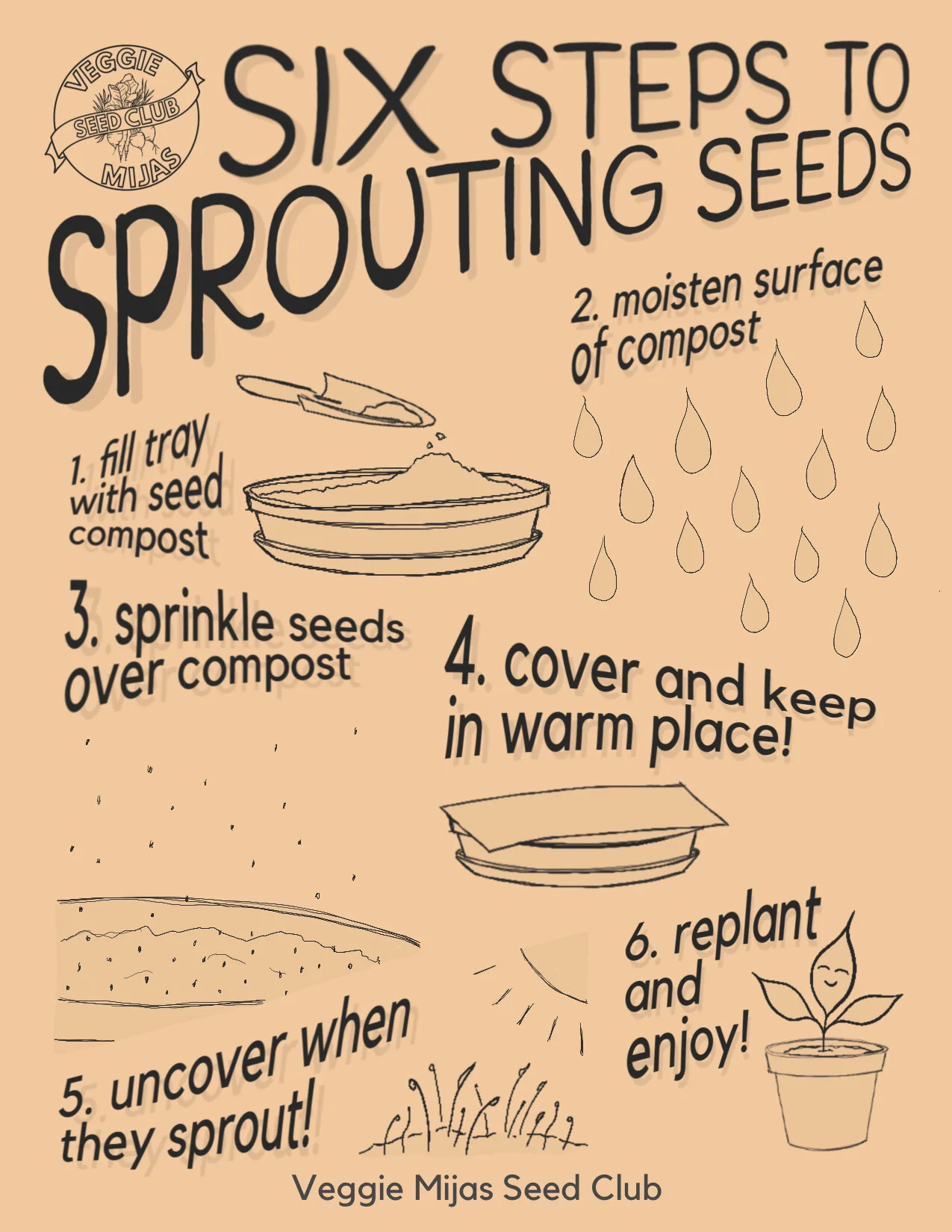 Sprouting How-to Guide